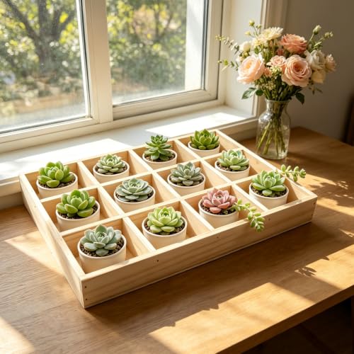 2 Pack Wooden Sorting Tray Grid Display 12 Compartments - Image 6