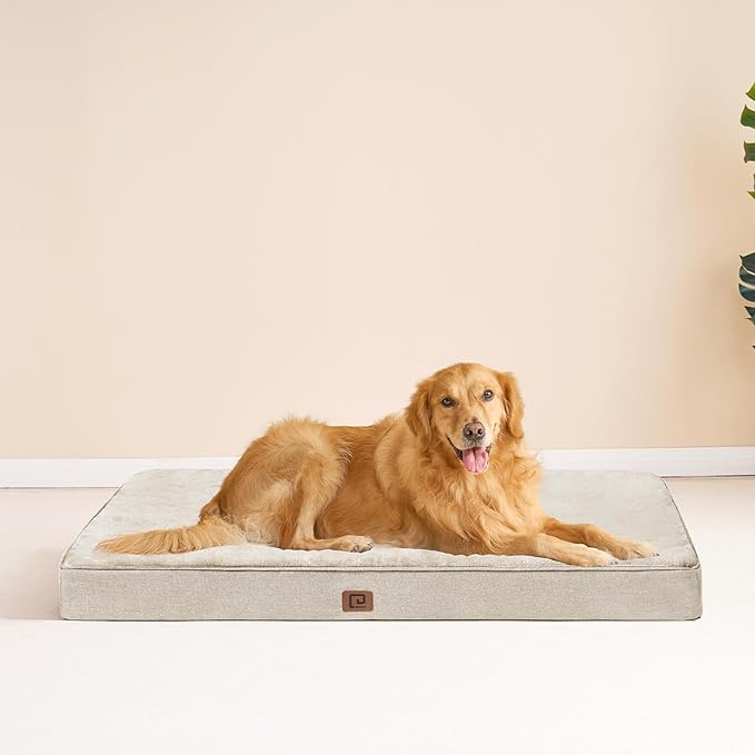 EHEYCIGA Memory Foam Dog Bed Orthopedic 41"x27"，Waterproof Pet Bed for XLarged Dogs ，Washable Pet Mat with Removable Cover, Beige