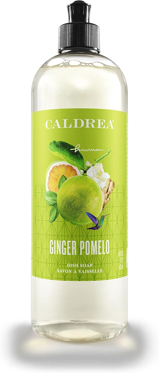 Caldrea Dish Soap, Biodegradable Dishwashing Liquid made with Soap Bark and Aloe Vera, Ginger Pomelo Scent, 16 oz