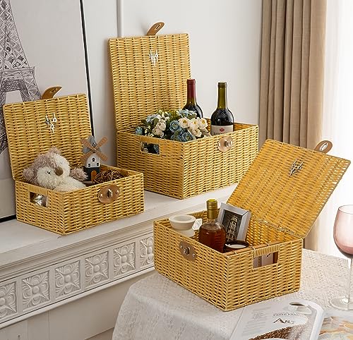 Wicker Storage Baskets with Lids, Set of 3 Decorative Storage - Image 7