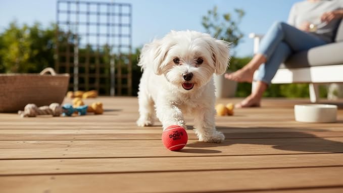 The Dog's Balls 6-Pack Red Dog Toy, Non-Toxic Pet Tennis Balls for Training, Play, Exercise & Fetch, Robust Retrieval Toys for All Breed Sizes