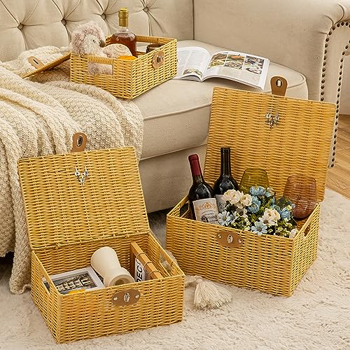 Wicker Storage Baskets with Lids, Set of 3 Decorative Storage - Image 5