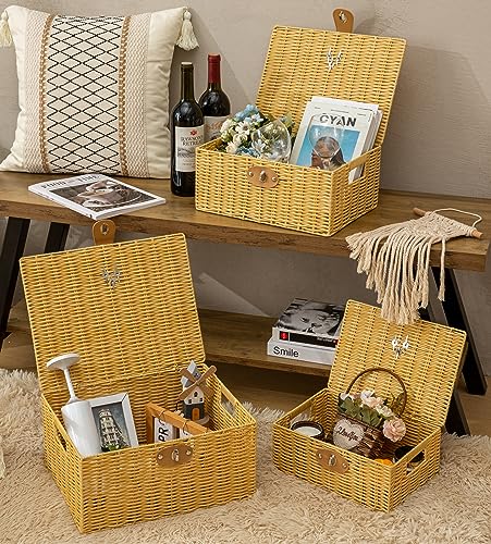 Wicker Storage Baskets with Lids, Set of 3 Decorative Storage - Image 3