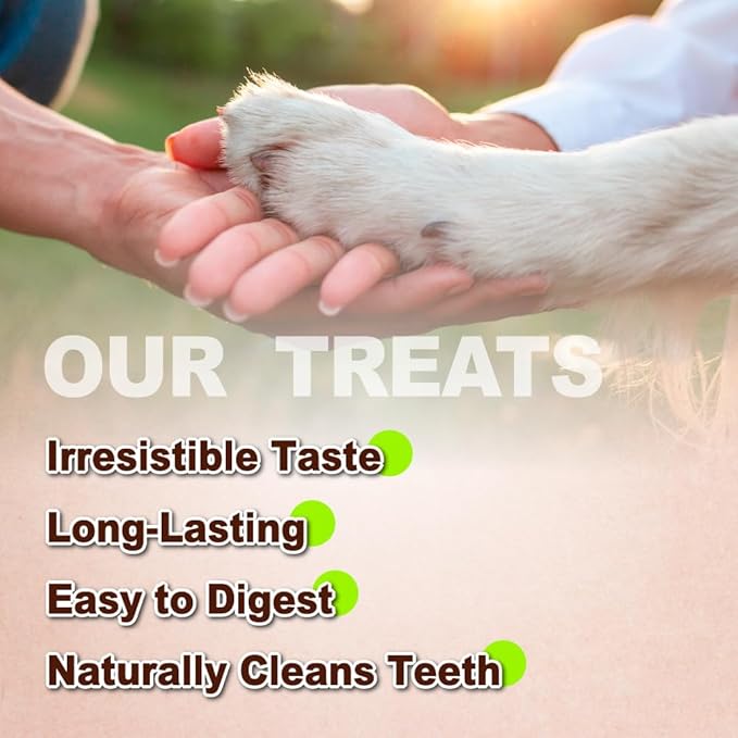 AFreschi Turkey Tendons for Dogs, USA-Sourced, Healthy Dog Treats, Rawhide-Free Puppy Chews, Long Lasting, All Natural, Hypoallergenic Dog Treats for Small Breeds, 4 Count Pack Pretzel (S)