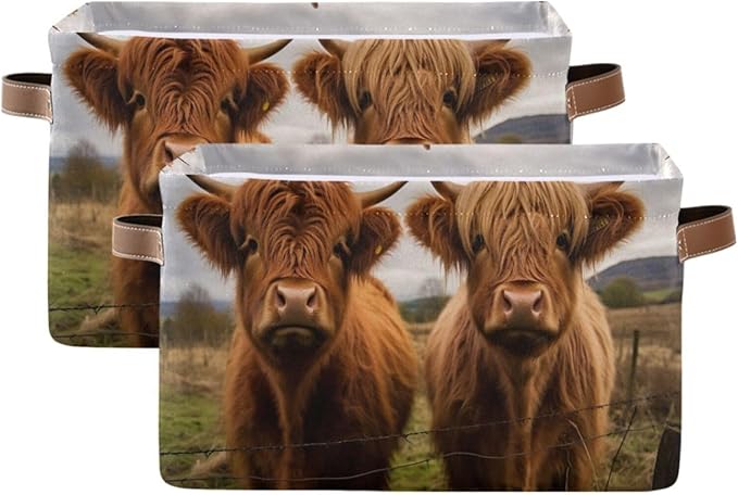 Storage Basket Scottish Highland Cow Rectangular Collapsible Canvas Shelves Storage Bins with Leather Handles for Shelves Home Closet Bedroom Living Room, 1Pack