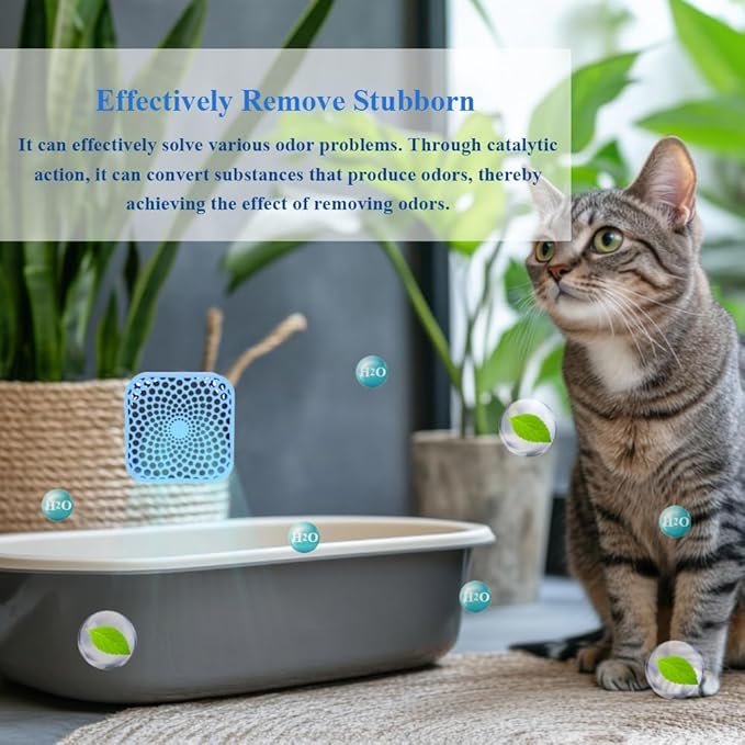 Odor Eliminator for Pets | Cat Litter Deodorizer, Chemical-Free & Unscented, 99% Effective Odor Neutralizer for Litter Box, Cat Litter Box, Fridge, Car & Closet (3-Pack)