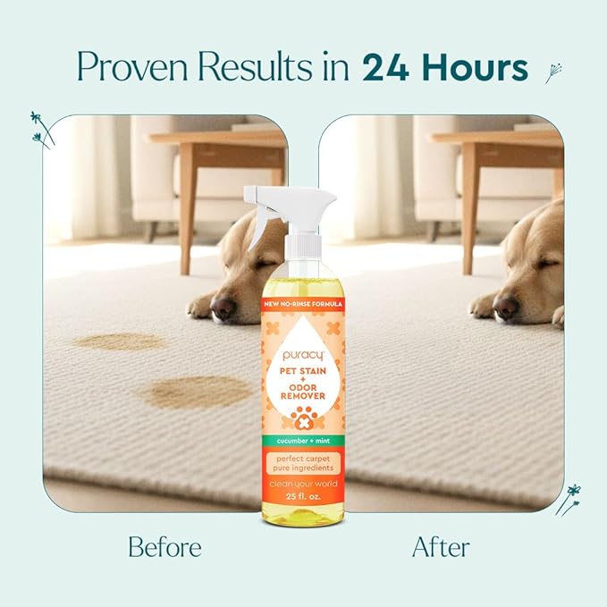 Puracy Natural Pet Stain & Odor Remover 48oz - Large Enzyme Cleaner for Dogs & Cats