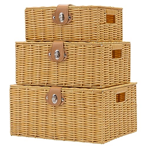 Wicker Storage Baskets with Lids, Set of 3 Decorative Storage - Image 1