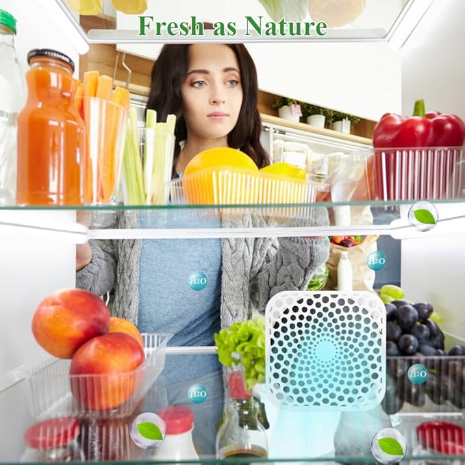Refrigerator Deodorizer Lasts for 10 Years, Fridge Deodorizer Odor Eliminator 99%, Catalyst Air Purifier for Fridge & Freezer, Room, RV, Car, Closet, Shoe Cabinets and more (3-Pack)