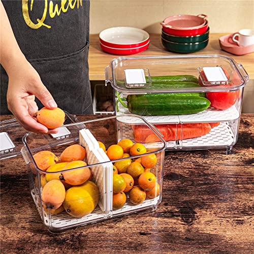 SANNO Fridge Produce Saver Storage Vegetable Fruit C | All Products - Image 4