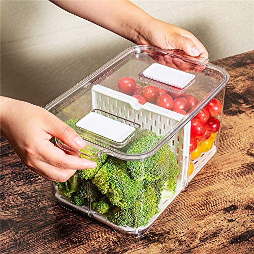 SANNO Fridge Produce Saver Storage Vegetable Fruit C | All Products - Image 7