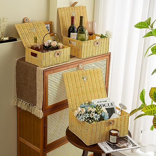 Wicker Storage Baskets with Lids, Set of 3 Decorative Storage - Image 6