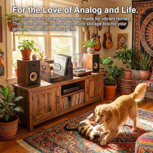 Vinyl Record Storage Rack for 65 LPs, Vinyl Record Album - Image 7