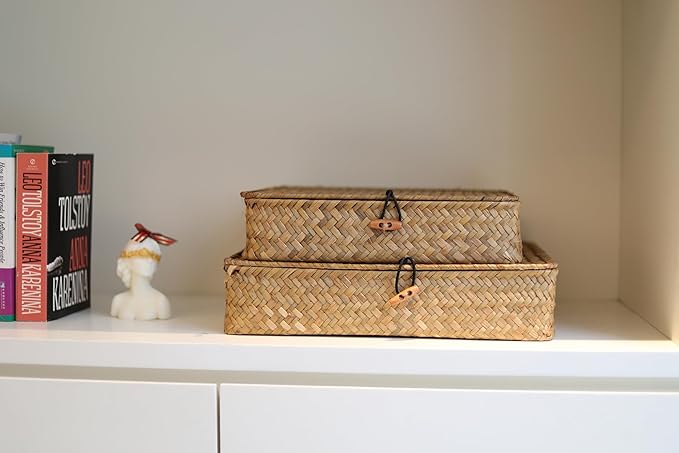 DOKOT Flat Seagrass Storage Bins with Lid, Wicker Basket for Shelf Organize, Set of 2 (Small+Large)