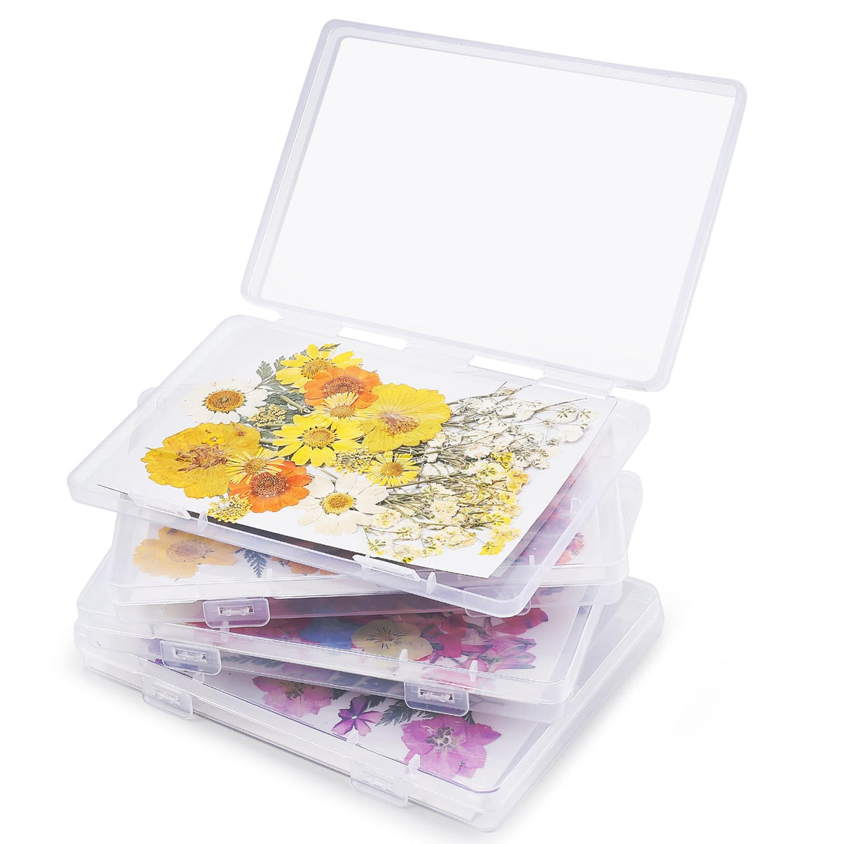 Aboofx 4PCS Dried Flower Storage Set with Blotting Paper - Image 1