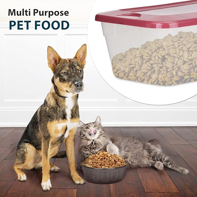 DecorRack 9 Clear Plastic Storage Containers, Shoe Boxes 6 Quart, Stackable, Closet Storage Box, Perfect for Toy Storage, Cat and Dog Food Containers, Assorted Colors (9 Pack)