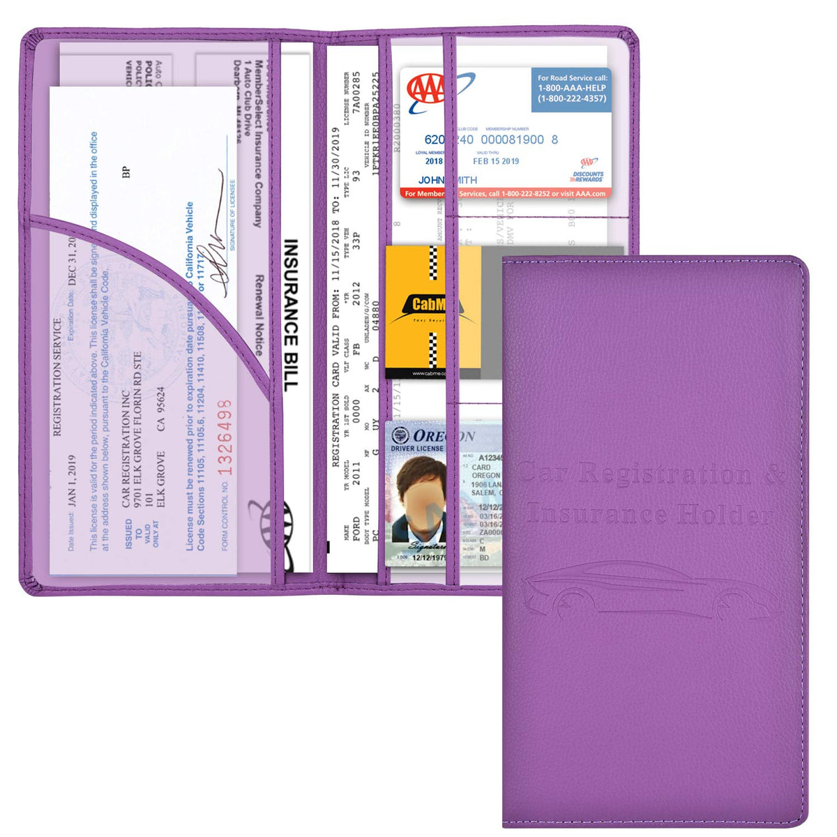 Cacturism Car Registration and Insurance Holder, Glove Box - Image 1