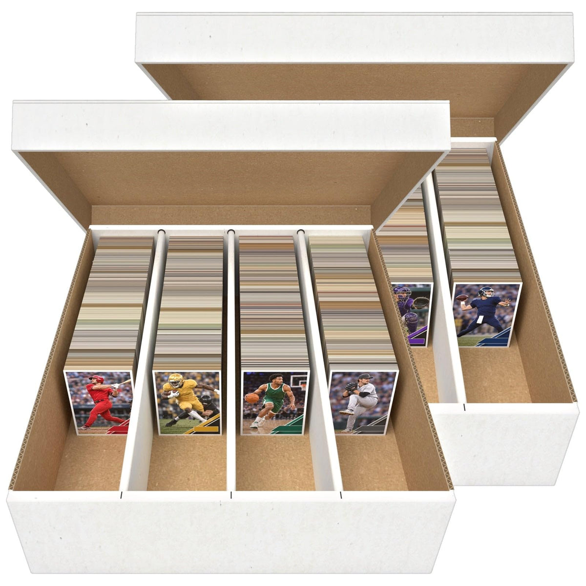 Trading Card Storage Box, 2-Pack - Image 1