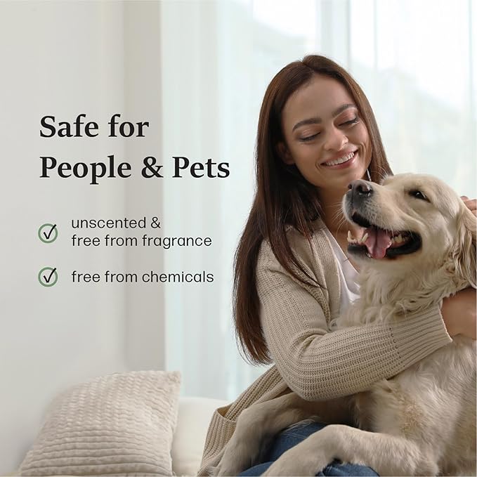 Chemical-free natural odor absorber for home