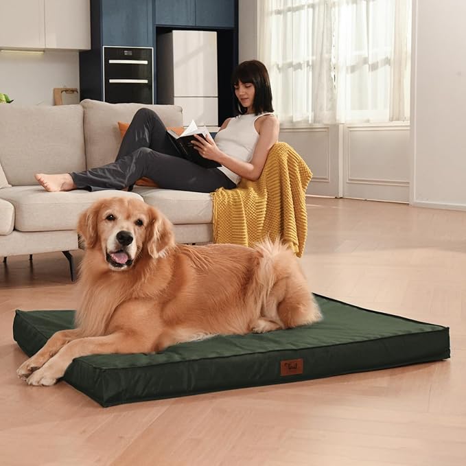 Outdoor Extra Large Dog Bed, Waterproof Dog Bed for Large Dogs, Orthopedic Egg Crate Foam Pet Bed with Washable Removable Oxford Cooling Cover, 44x32 Inch, Dark Green