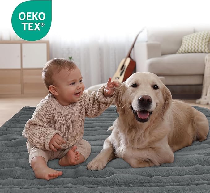 Waterproof Dog Blanket for Small Dogs, Luxury Plush Washable Cats Blankets for Couch Protection, Super Soft Calming Pet Blanket for Indoors (Grey, 25"x35")