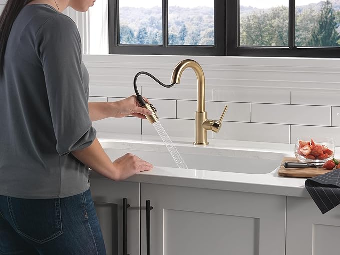 Trinsic Single Handle Pull-Down Bar/Prep Faucet