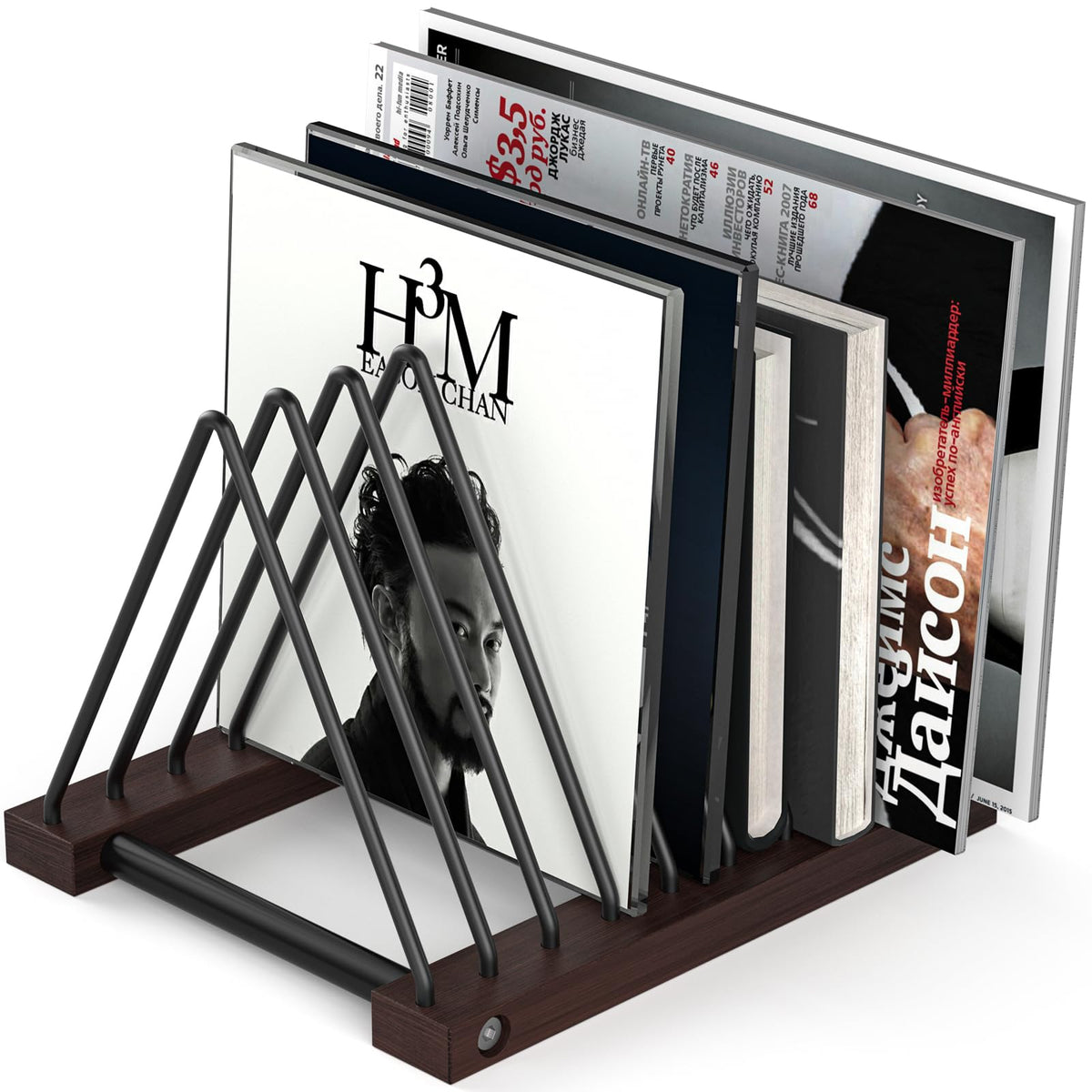 Pashion Vinyl Record Storage Rack,Detachable Desktop Stand - Image 1