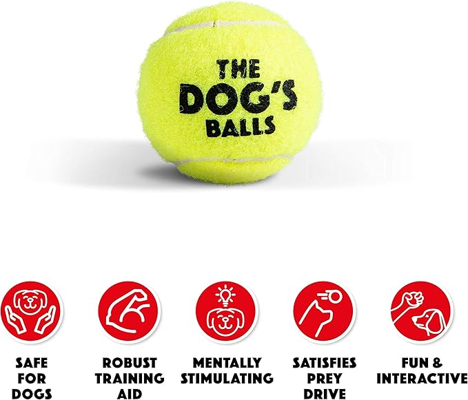 The Little Dog’s Balls Dog Tennis Balls for Small Dogs & Puppies, Yellow, 6-Pack - Non-Abrasive Felt Fetch Balls, Tough Rubber Core, Float in Water