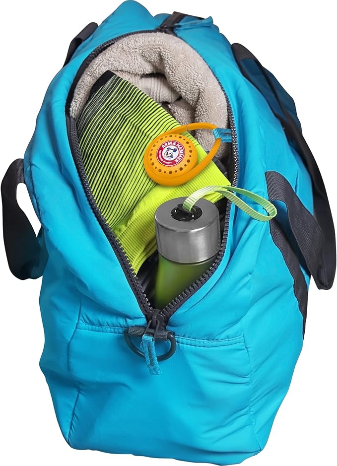 Arm & Hammer Odor Busterz Balls Deodorizer 6 Count and Clip N Go Deodorizer 4 Count