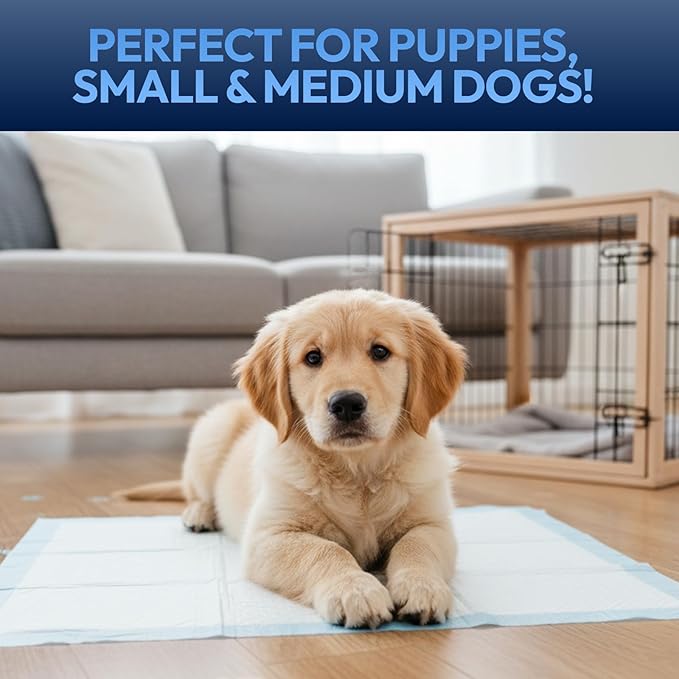 Training Pads for Dogs & Puppies, Super Absorbent, Leak-Proof Protection, Odor-Neutralizing, Disposable Puppy Pads Essentials 22"x22" 30 Count - BROOKLYN PET GEAR