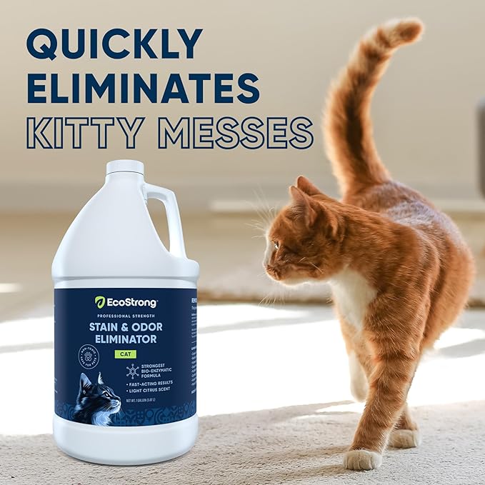 Eco Strong Cat Stain & Odor Remover - Enzyme Neutralizer Citrus Gallon Value Size