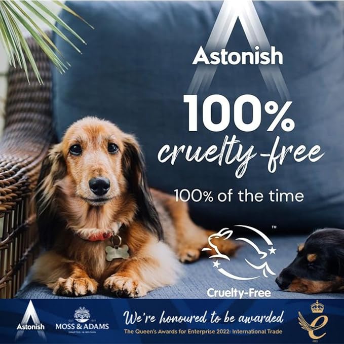 Astonish All In 1 Dishwasher Tablets - Household Cleaner Removes Grease, Grime, & Surface Stains - Dishwasher Soap with Salt & Rinse Aid, Cruelty Free Dishwasher Detergent, Lemon Fresh, 42 Pack