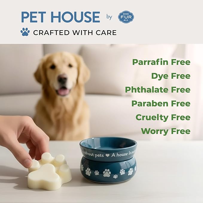 Pet House Fresh Citrus Wax Melts - Long-Lasting Scented Wax Melts Plant Based, Pet Friendly Pack of 2