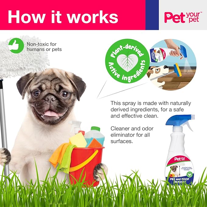 Dog Pee and Poop Remover – All-in-One Pet Stain and Odor Remover with Plant-Derived Ingredients – Stain and Odor Removers for Upholstery, Carpets & Hard Floors