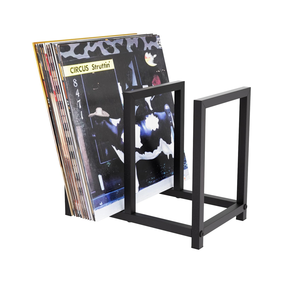 Vinyl Record Storage Holder, All Metal Tabletop Record - Image 1