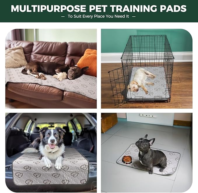 FXW Washable Pee Pads for Dogs, Puppy Pads with Super Absorbent, Specifically Designed for Whelping Box, 36" Round, Khaki, 2 Packs