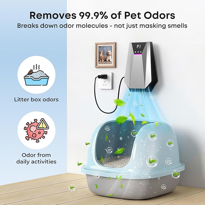 Ozone & Negative Ion, 99% Odor Eliminator for Strong Odors, Cat Litter Box Deodorizer, Air Ionizers for Dog Poop Odor Removal, for Toilet, Wardrobe, Shoe Closet, Garage, Room, Cabinet, Silver