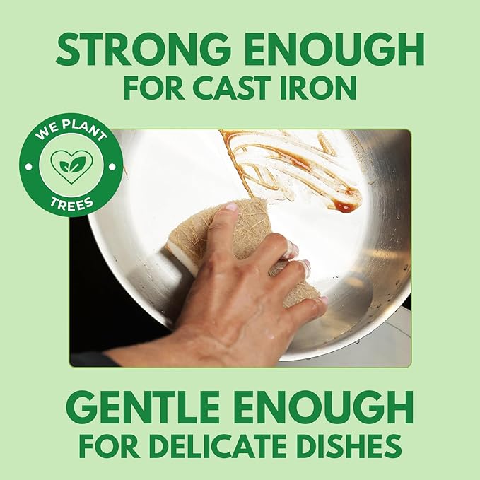 Natural Kitchen Sponges (12 Pack) - Biodegradable Cellulose & Coconut Scrubber Dish Sponge for Kitchen - Eco-Friendly, Non Scratch, Compostable, Non Toxic Natural Sponges for Dishes