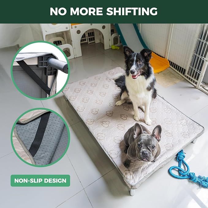 FXW TitanNest Chew-Proof Elevated Dog Bed, Raised Cot for Indoor/Outdoor/Camping Use, Durable & Waterproof Cooling Pet Bed with Exclusive Cover for Toy Dogs, 23.0" L x 17.0" W x 4.5" H, Black