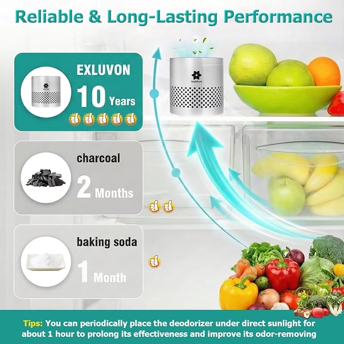 Refrigerator Deodorizer Odor Eliminator, Stainless Steel, Lasts Up to 10 Years, More Effective Than Baking Soda & Bamboo Charcoal Bags, Multi-Purpose Odor Absorber for Fridge, Pantry, Cabinets & Shoes