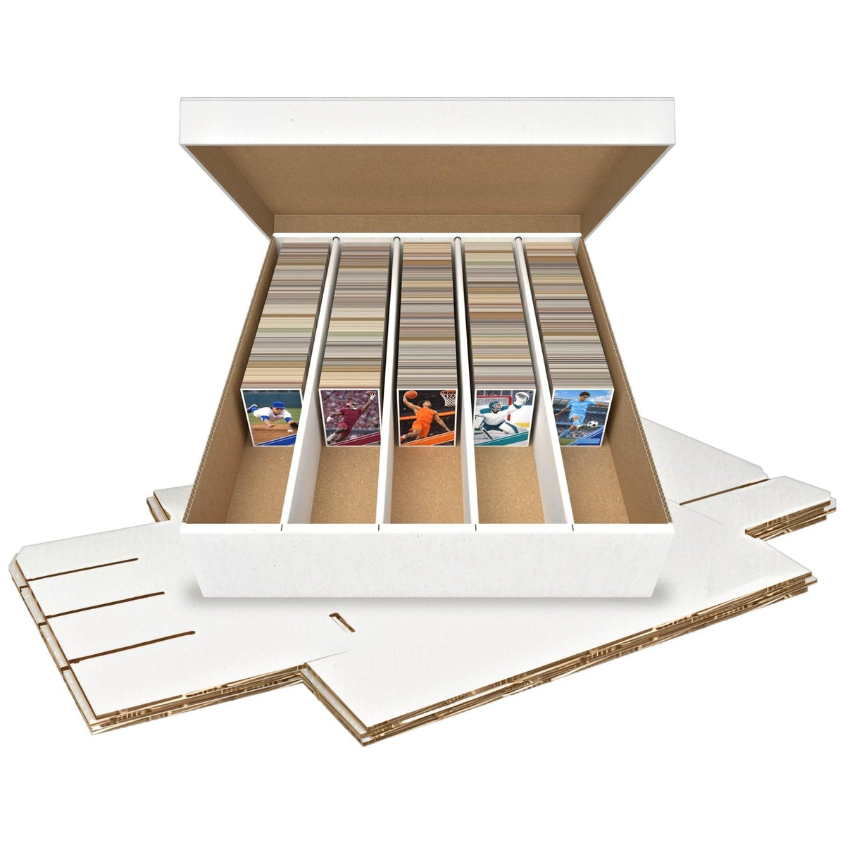 Trading Card Storage Box, 5-Pack, 5000 Count, Woodhaven - Image 1
