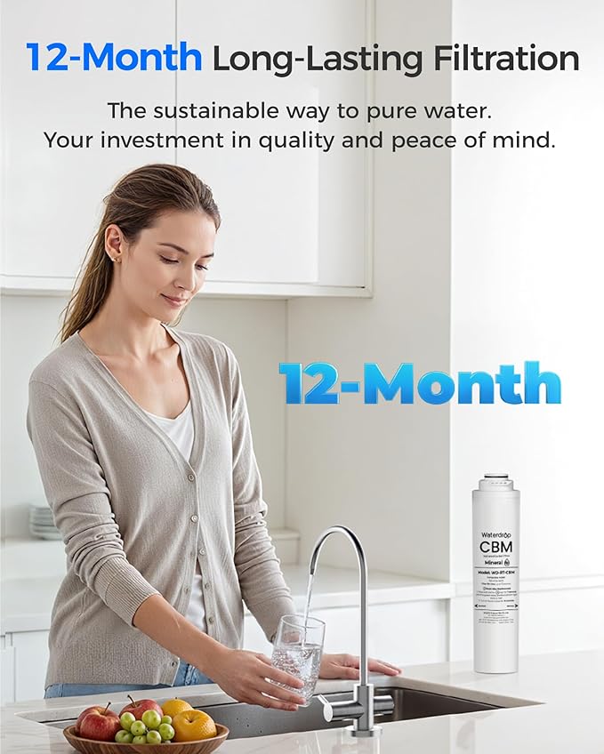 Waterdrop WD-RT-CBM Replacement Filter, Pack of 1 CB Filter, Replacement for WD-T3-M Tankless Reverse Osmosis System, 12-month Lifetime