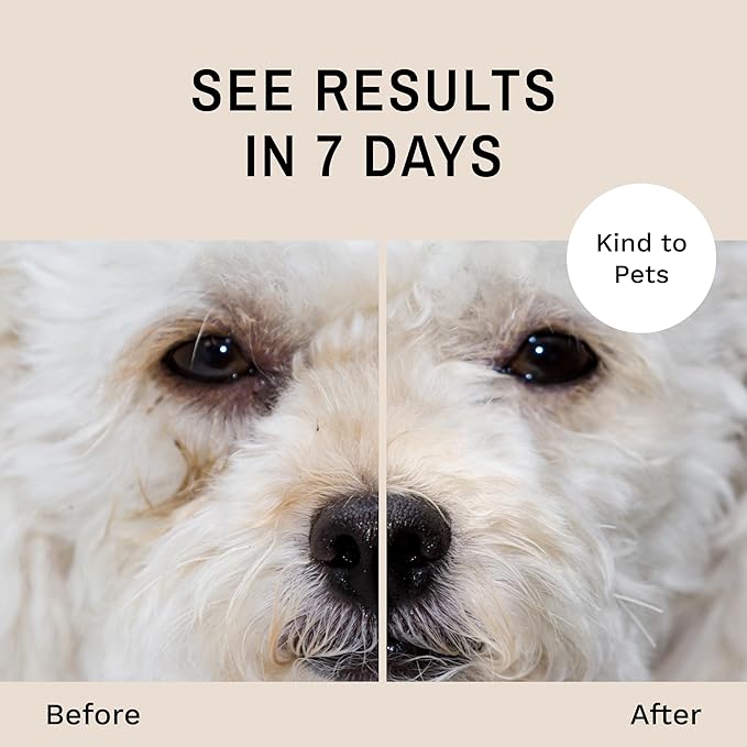 Eye Envy Dog Tear Stain Remover Starter Kit with ProPowder Brush | Stain Solution, Applicator Pads, Stain Powder and Large Applicator Brush | Lasts 30-45 Days