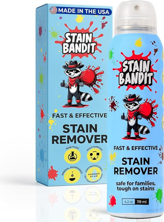 Stain Remover Spray | Non-Toxic Stain Remover Family Safe Formula | Bag-On-Valve 360° Continuous Spray Bottle | Cleaner for Clothes, Upholstery, Carpet & Car Seats 4.2 Oz, (Pack of 1)