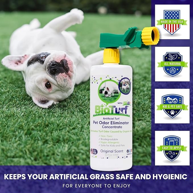 BioTurf BioS+ Odor Eliminator Concentrate - Artificial Turf Cleaner for Dog Urine & Feces - Outdoor Yard Deodorizer Enzyme Odor Eliminator for Fake Grass, Patios, Kennels & Gravel 32 oz Bottle 2-Pack