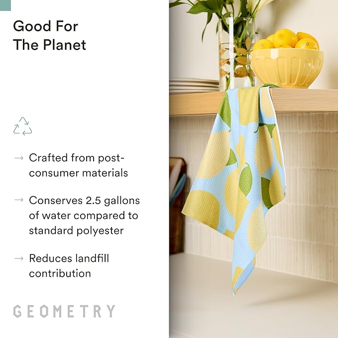 GEOMETRY Spring Kitchen Towels - Quick Dry Microfiber Cloth Spring & Summer Dish Towels for Kitchen Drying - Premium Quick Dry Towel - Sandy Boho, 18" x 30" - 2-Pack