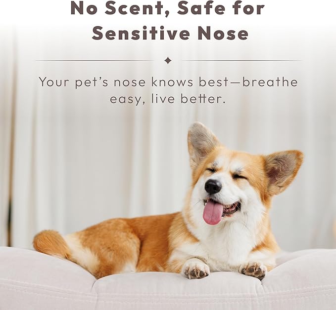 Pet Odor Eliminator Spray – Instantly Destroys Odors & Pet Smells by Ti-Oxy™ Technology. Non-Toxic, Fragrance-free & Pet-Safe Odor Neutralizer. Works on Urine Odors, Litter Boxes & Carpets – 10oz