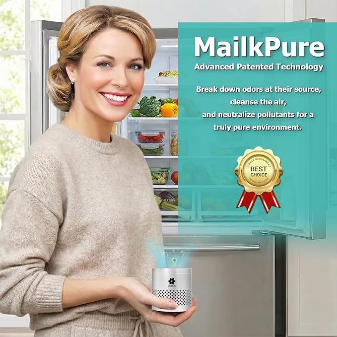 Refrigerator Deodorizer Odor Eliminator, Stainless Steel, Lasts Up to 10 Years, More Effective Than Baking Soda & Bamboo Charcoal Bags, Multi-Purpose Odor Absorber for Fridge, Pantry, Cabinets & Shoes