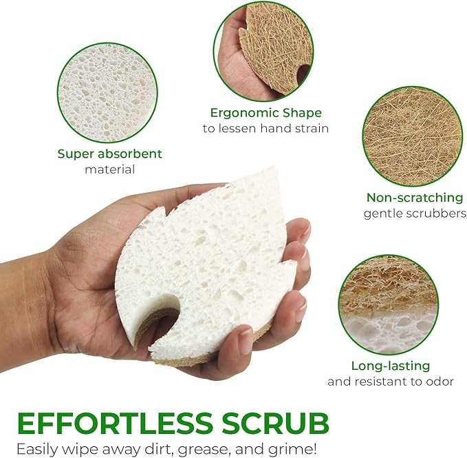 Natural Kitchen Sponges (6 Pack) - Biodegradable Cellulose & Coconut Scrubber Dish Sponge for Kitchen - Eco-Friendly, Non Scratch, Compostable, Non Toxic Leaf Shaped Natural Sponges for Dishes