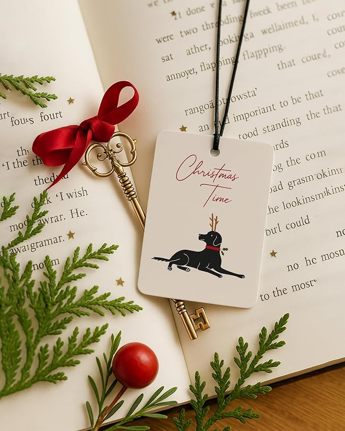 Christmas Car Air Freshener 4 Pcs, Dog Lover Gifts, Vintage Xmas Stocking Candy Cane Hanging Air Freshener for Cars Closet Drawer Books, Christmas Car Accessories Mirror Decor for Women Men